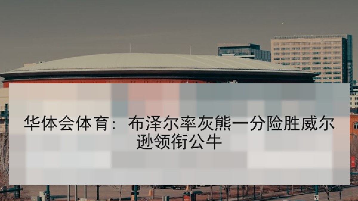 华体会体育: 布泽尔率灰熊一分险胜威尔逊领衔公牛