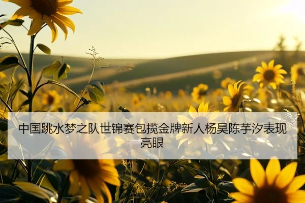 中国跳水梦之队世锦赛包揽金牌新人杨昊陈芋汐表现亮眼